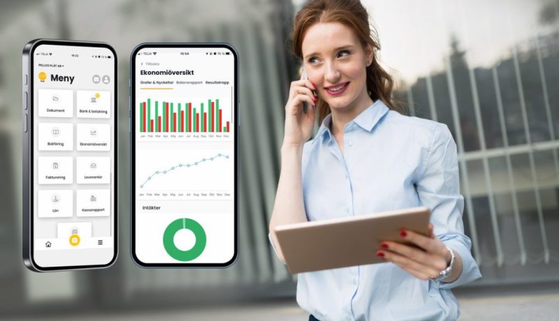 Bokslut för aktiebolag